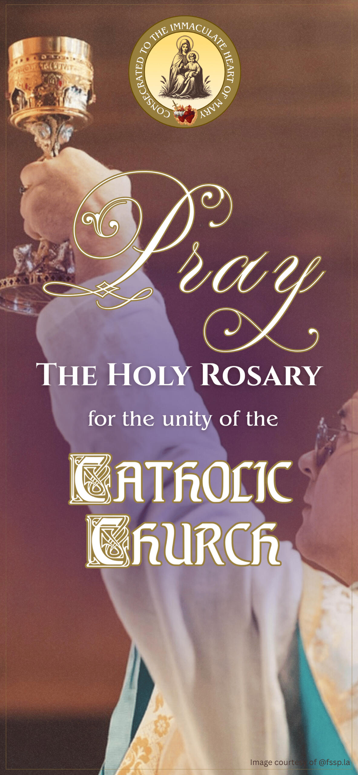 Pray the Holy Rosary for the unity of the Catholic Church