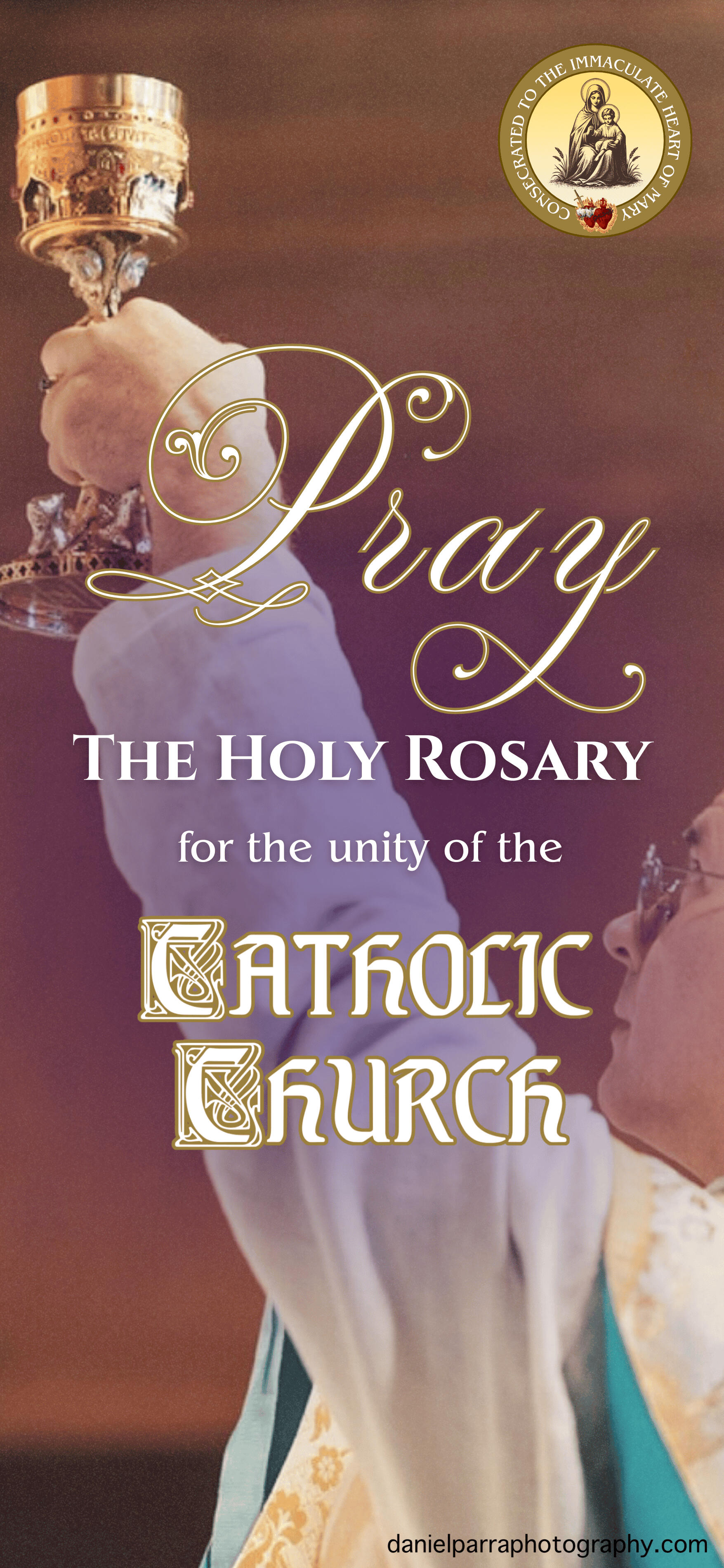 Pray the Holy Rosary for the unity of the Catholic Church